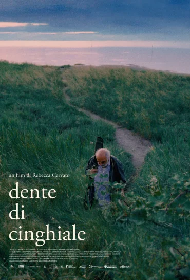 Dente di Cinghiale